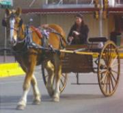 corsicana_horse_and_carriage_2bt.jpg